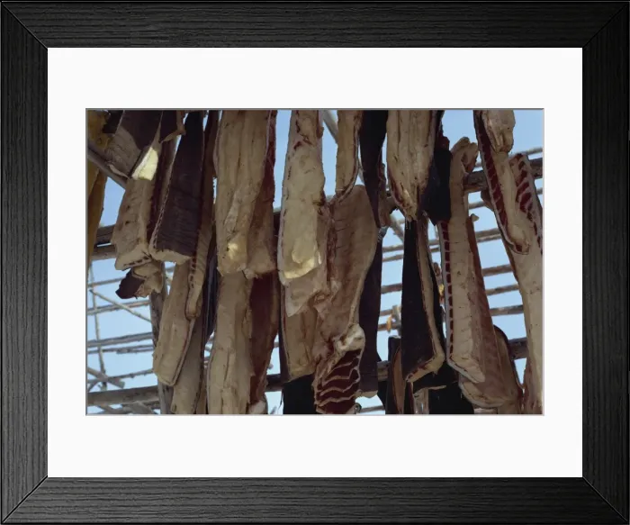 Framed Print : Meat hanging to dry, Greenland, Polar Regions Framed Print : Meat hanging to dry, Greenland, Polar Regions