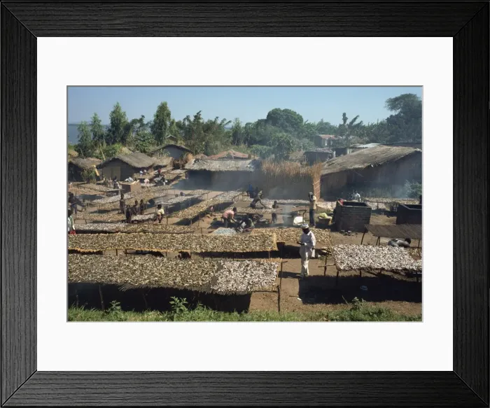 Framed Print : Smoking fish in a Lake Malawi fishing village, Malawi, Africa Framed Print : Smoking fish in a Lake Malawi fishing village, Malawi, Africa