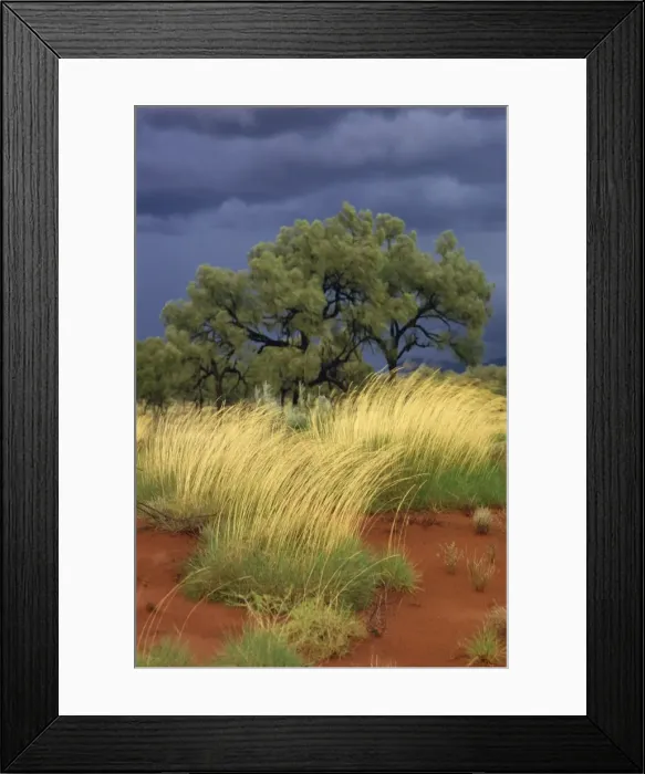 Framed Print : Central Desert, Northern Territory, Australia, Pacific Framed Print : Central Desert, Northern Territory, Australia, Pacific