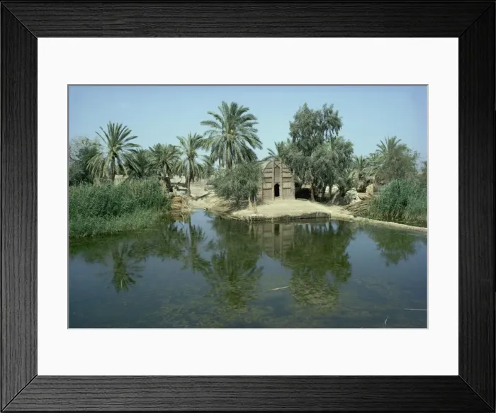Framed Print : Reed houses at Shobalish, Marshes, Iraq, Middle East Framed Print : Reed houses at Shobalish, Marshes, Iraq, Middle East