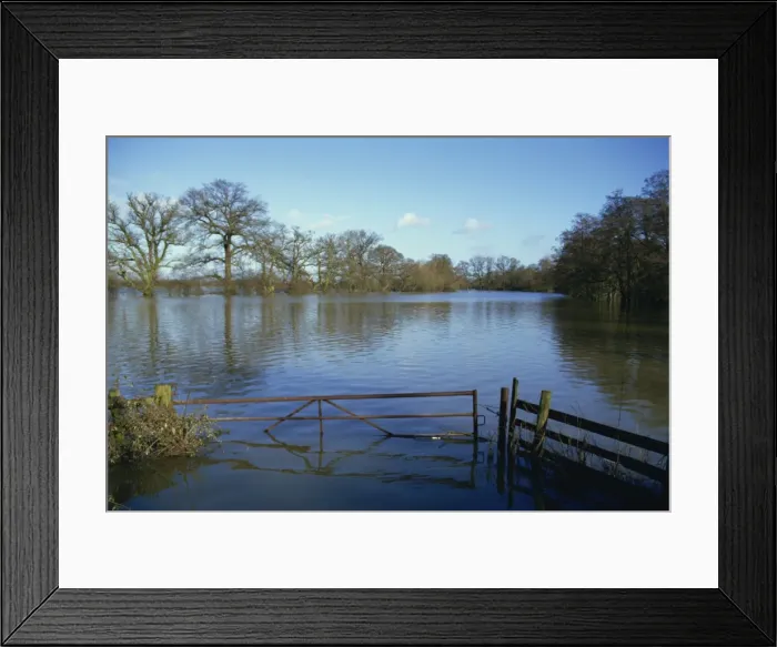 Framed Print : Flooding of fields from River Severn near Tirley, Gloucestershire, England Framed Print : Flooding of fields from River Severn near Tirley, Gloucestershire, England