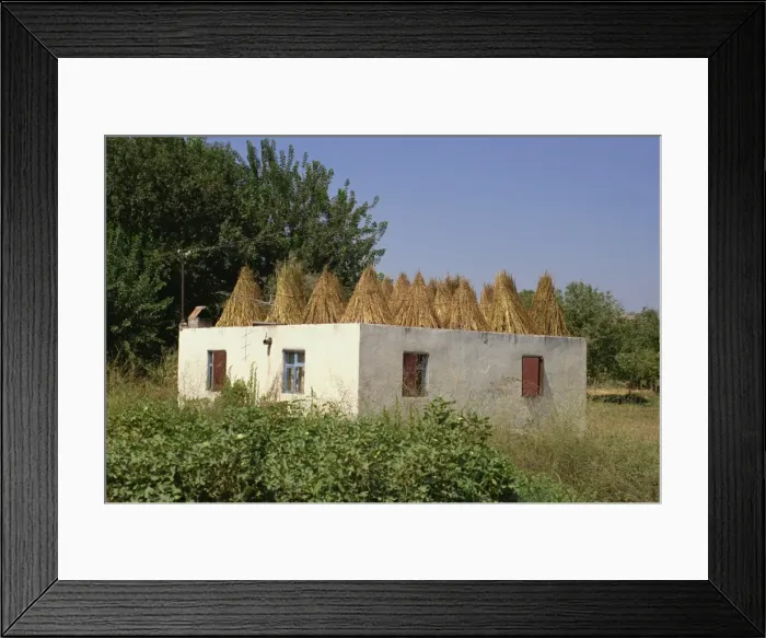 Framed Print : Rooftop used to dry cereal crops, for fodder, Anatolia, Turkey, Asia Minor, Eurasia Framed Print : Rooftop used to dry cereal crops, for fodder, Anatolia, Turkey, Asia Minor, Eurasia