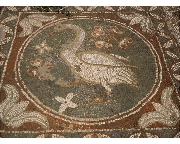 Mosaic dating from around 400 AD, Soli, Northern Cyprus, Cyprus, Europe