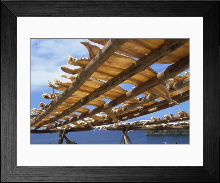 Framed Print : Cod drying, Camara de Lobos, Madeira, Portugal, Atlantic, Europe Framed Print : Cod drying, Camara de Lobos, Madeira, Portugal, Atlantic, Europe