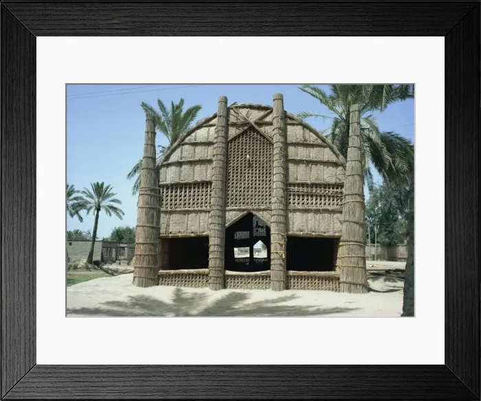 Framed Print : Mudhif meeting house, Chobaish Marshes, Iraq, Middle East Framed Print : Mudhif meeting house, Chobaish Marshes, Iraq, Middle East