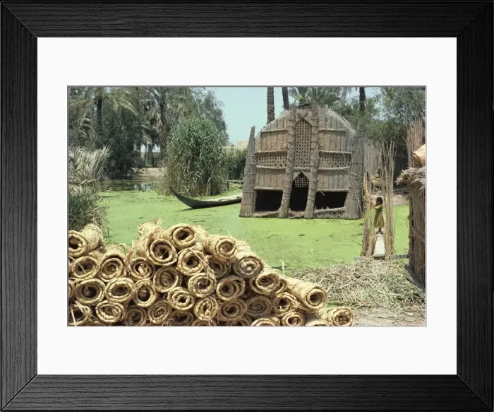 Framed Print : Mudhif meeting house and reed mats ready for sale, Chobaish Marshes Framed Print : Mudhif meeting house and reed mats ready for sale, Chobaish Marshes
