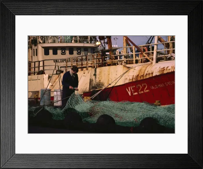 Framed Print : Net mending, Westmanna Island, Iceland, Polar Regions Framed Print : Net mending, Westmanna Island, Iceland, Polar Regions