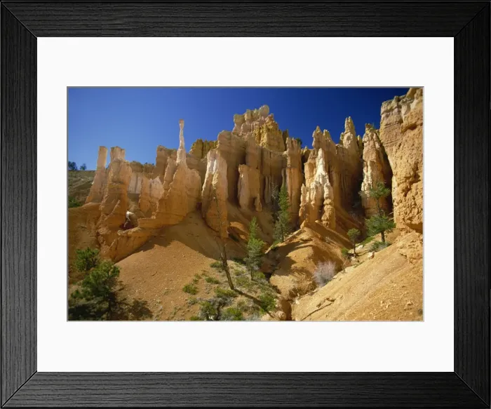 Framed Print : Bizarre rock sculptures in the Queens Garden of the Bryce Amphitheatre Framed Print : Bizarre rock sculptures in the Queens Garden of the Bryce Amphitheatre