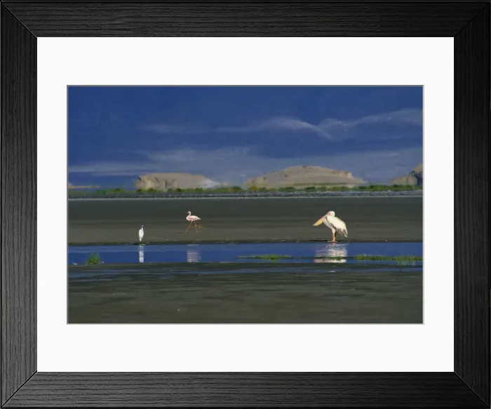 Framed Print : Lake Natron, large soda lake, Eastern Rift Valley, Tanzania, East Africa, Africa Framed Print : Lake Natron, large soda lake, Eastern Rift Valley, Tanzania, East Africa, Africa