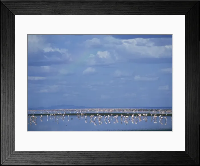 Framed Print : Lake Natron, Eastern Rift Valley, Tanzania, East Africa, Africa Framed Print : Lake Natron, Eastern Rift Valley, Tanzania, East Africa, Africa
