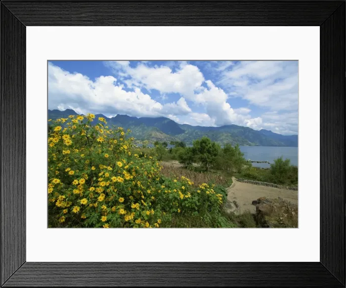 Framed Print : Looking from San Pedro La Laguna towards Lake Atitlan, Guatemala, Central America Framed Print : Looking from San Pedro La Laguna towards Lake Atitlan, Guatemala, Central America