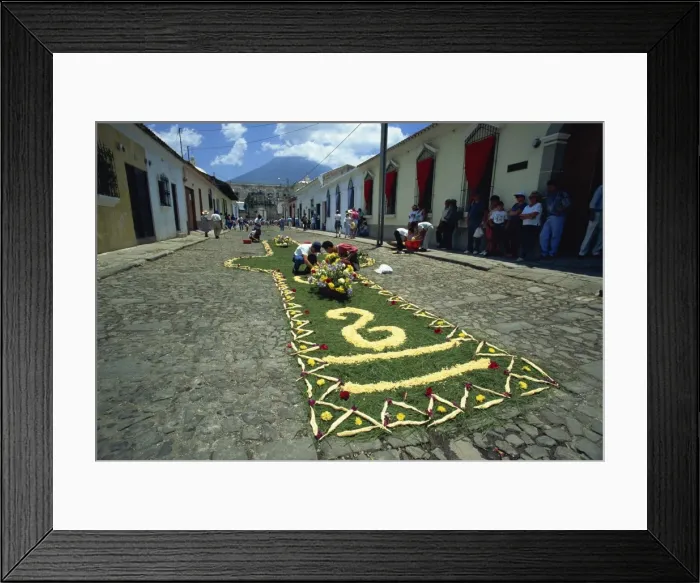 Framed Print : Carpet of plants and flowers being laid on a street for one of the Easter processions Framed Print : Carpet of plants and flowers being laid on a street for one of the Easter processions