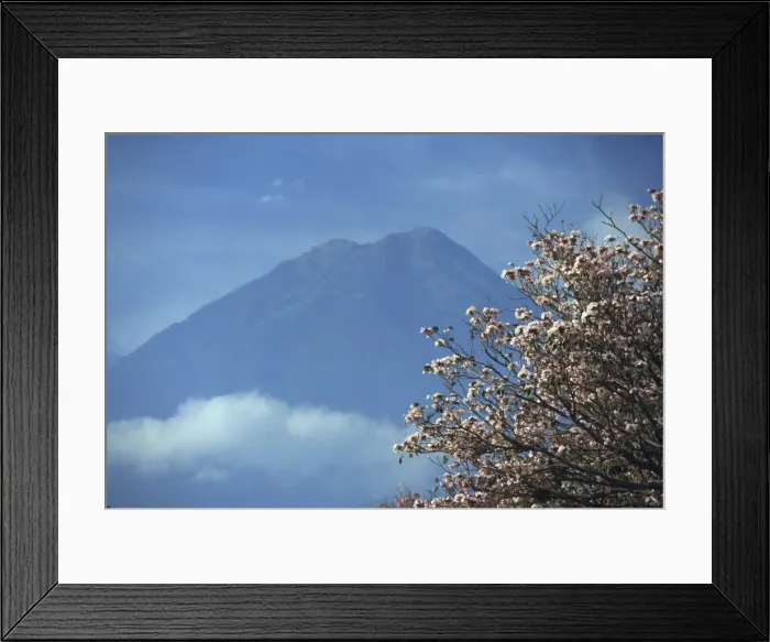 Framed Print : The 3760m Volcan Agua, above Antigua, Guatemala, Central America Framed Print : The 3760m Volcan Agua, above Antigua, Guatemala, Central America