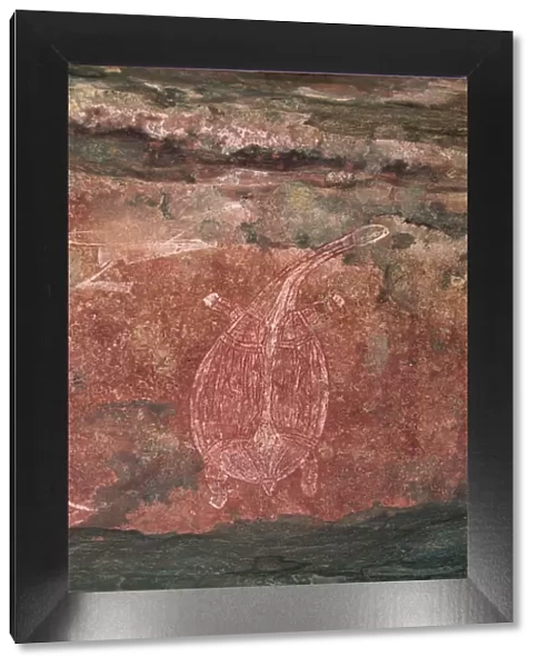 Painting of a turtle at the Aboriginal rock art site at Ubirr Rock, Kakadu National Park