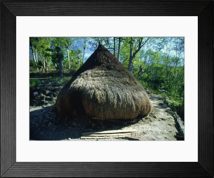 Framed Print : Traditional conical hut in town of Kefamenanu, western Timor, Southeast Asia, Asia Framed Print : Traditional conical hut in town of Kefamenanu, western Timor, Southeast Asia, Asia