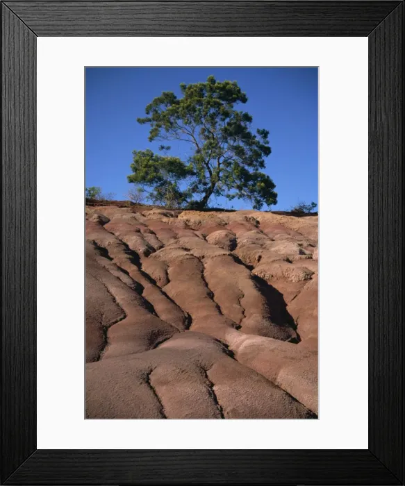 Framed Print : Gully erosion, Kauai, Hawaii, United States of America, Pacific, North America Framed Print : Gully erosion, Kauai, Hawaii, United States of America, Pacific, North America