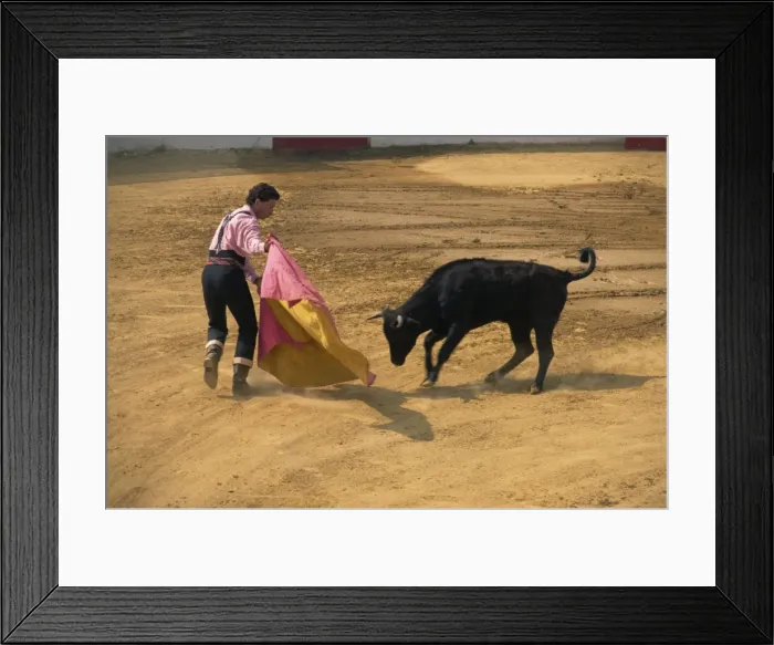 Framed Print : Bullfight demonstration, Andalucia, Spain, Europe Framed Print : Bullfight demonstration, Andalucia, Spain, Europe