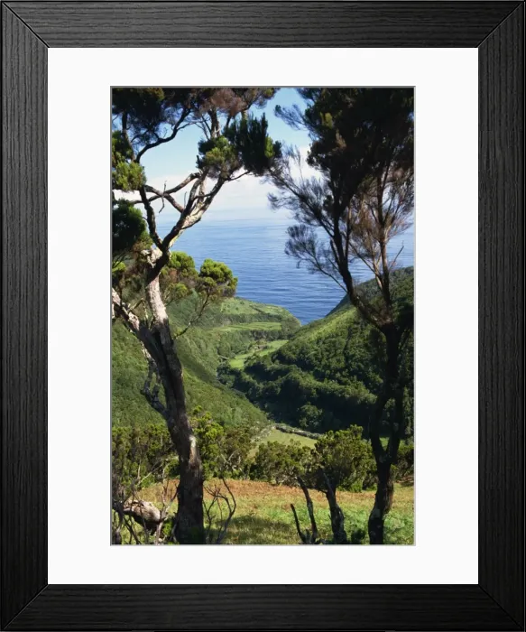 Framed Print : Caldeira de Cima, Sao Jorge, Azores, Portugal, Atlantic, Europe Framed Print : Caldeira de Cima, Sao Jorge, Azores, Portugal, Atlantic, Europe