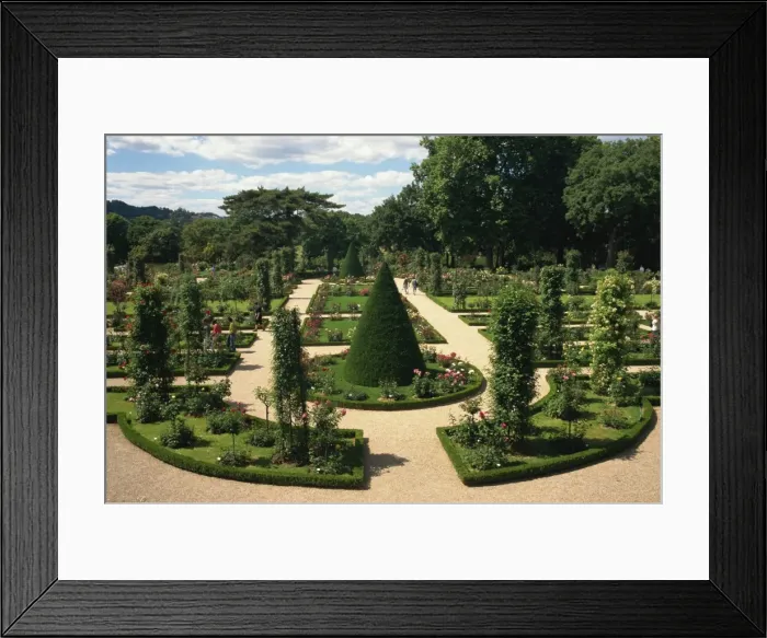 Framed Print : Bagatelle rose garden, Bois de Boulogne, Paris, France, Europe Framed Print : Bagatelle rose garden, Bois de Boulogne, Paris, France, Europe