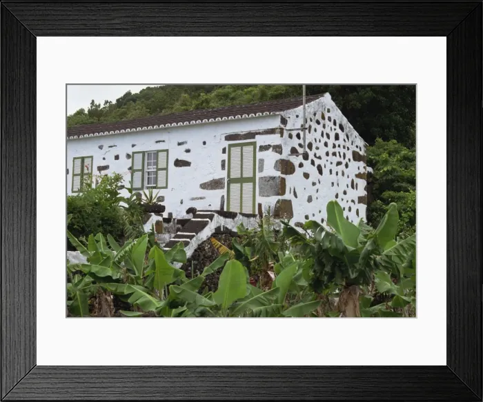Framed Print : Typical cottage, Biscoitos area, Pico, Azores, Portugal, Europe Framed Print : Typical cottage, Biscoitos area, Pico, Azores, Portugal, Europe