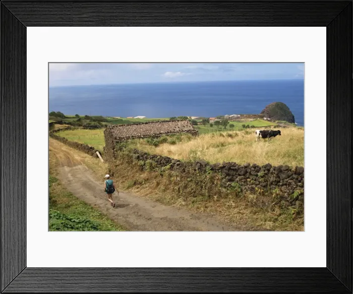 Framed Print : Walking track between fields and the south coast, Pico, Azores, Portugal Framed Print : Walking track between fields and the south coast, Pico, Azores, Portugal