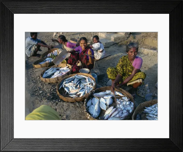 Framed Print : Fish sellers, Port Blair, Andaman Islands, India, Asia Framed Print : Fish sellers, Port Blair, Andaman Islands, India, Asia