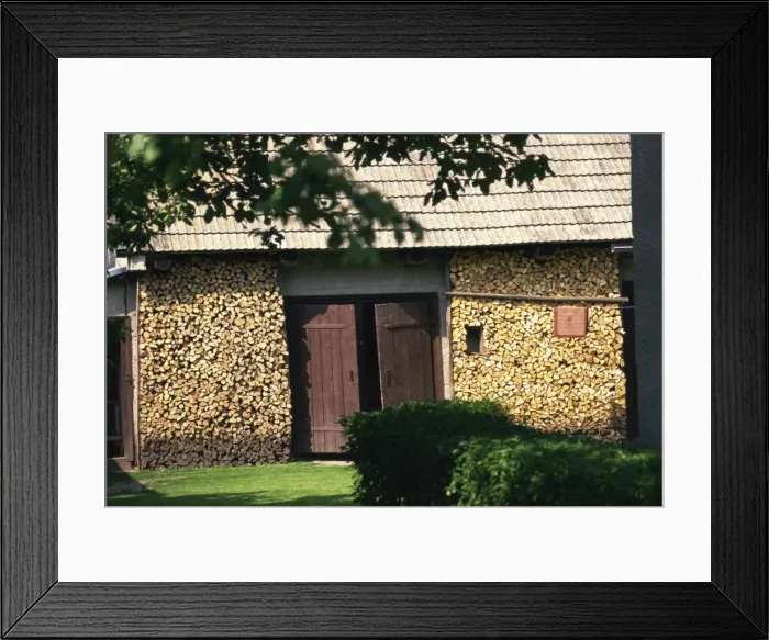 Framed Print : Well appointed woodpile, Biatowieza, Podlasie, Poland, Europe Framed Print : Well appointed woodpile, Biatowieza, Podlasie, Poland, Europe