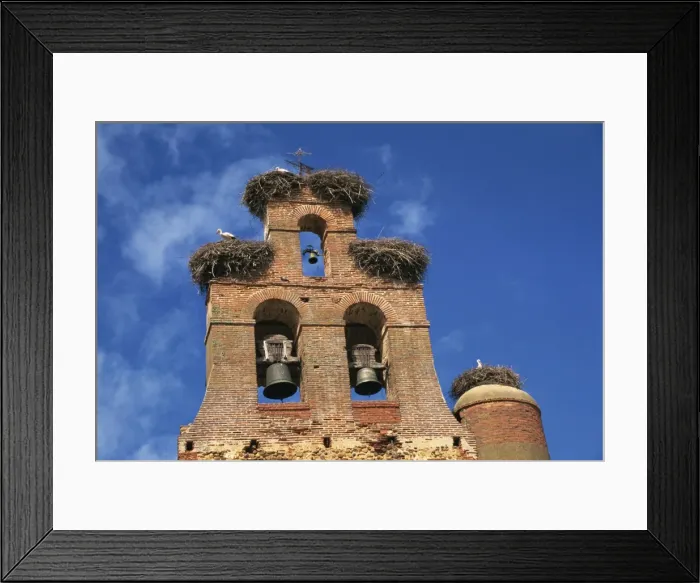Framed Print : Storks nest on parish church, Villar de Mazarife, Leon, Spain, Europe Framed Print : Storks nest on parish church, Villar de Mazarife, Leon, Spain, Europe