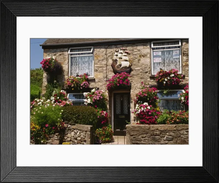 Framed Print : Cottage garden, Marazion, Cornwall, England, United Kingdom, Europe Framed Print : Cottage garden, Marazion, Cornwall, England, United Kingdom, Europe