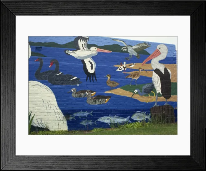 Framed Print : Wall painting of local birds, Denmark, Western Australia, Australia, Pacific Framed Print : Wall painting of local birds, Denmark, Western Australia, Australia, Pacific
