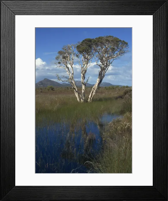 Framed Print : Cape Le Grand National Park, with Frenchmans Peak in distance, Western Australia Framed Print : Cape Le Grand National Park, with Frenchmans Peak in distance, Western Australia