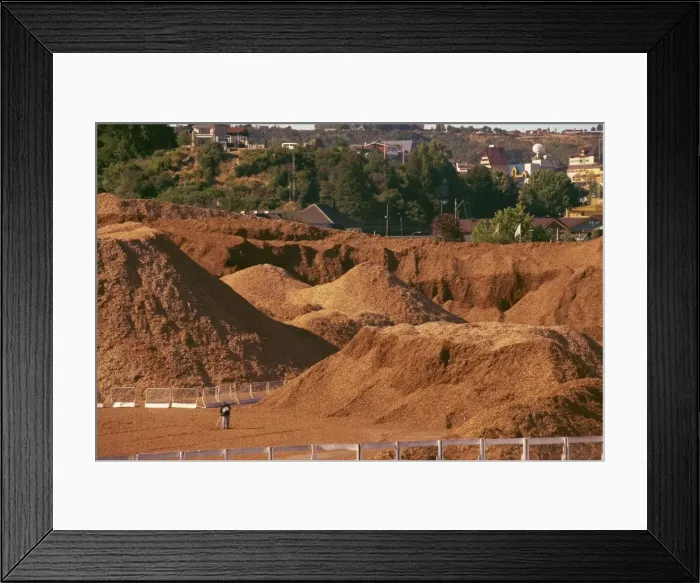 Framed Print : Woodchip stockpile for export to Japan, Puerto Montt, Chile, South America Framed Print : Woodchip stockpile for export to Japan, Puerto Montt, Chile, South America