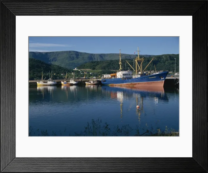 Framed Print : Fishing port, Alesund, Norway, Scandinavia, Europe Framed Print : Fishing port, Alesund, Norway, Scandinavia, Europe
