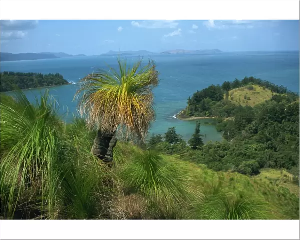 View over Oyster Bay, South Molle Island, Whitsundays, Queensland, Australia, Pacific