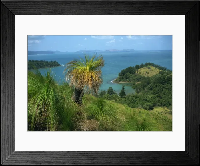 Framed Print : View over Oyster Bay, South Molle Island, Whitsundays, Queensland, Australia, Pacific Framed Print : View over Oyster Bay, South Molle Island, Whitsundays, Queensland, Australia, Pacific