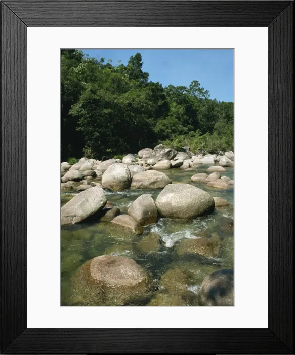Framed Print : Mossman Gorge, near Port Douglas, Queensland, Australia, Pacific Framed Print : Mossman Gorge, near Port Douglas, Queensland, Australia, Pacific