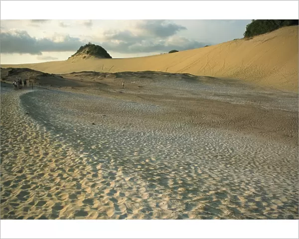 Great Sandy National Park, Fraser Island, UNESCO World Heritage Site, Queensland