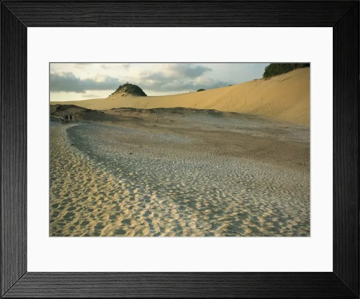 Framed Print : Great Sandy National Park, Fraser Island, UNESCO World Heritage Site, Queensland Framed Print : Great Sandy National Park, Fraser Island, UNESCO World Heritage Site, Queensland