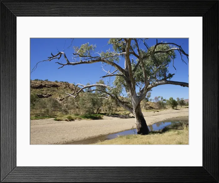 Framed Print : Dry bed of Todd River, Alice Springs, Northern Territory, Australia, Pacific