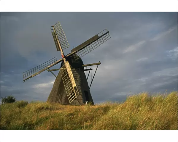 Windmill at Open Air Museum, Skagen, North Jutland, Denmark, Scandinavia, Europe