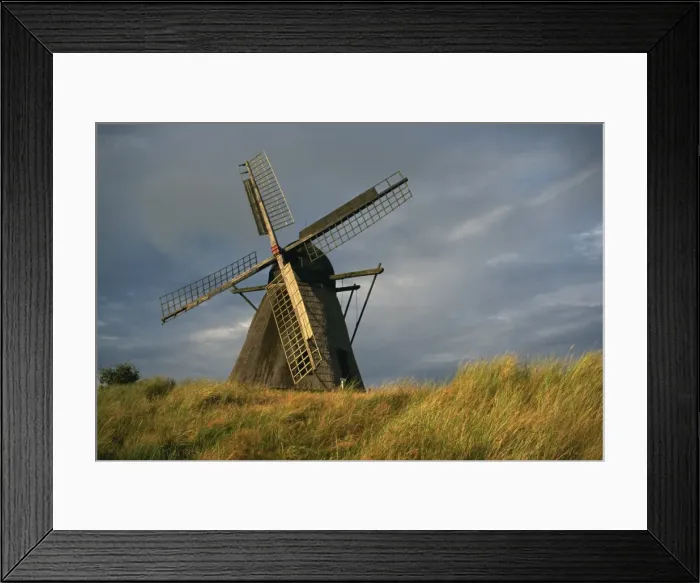 Framed Print : Windmill at Open Air Museum, Skagen, North Jutland, Denmark, Scandinavia, Europe Framed Print : Windmill at Open Air Museum, Skagen, North Jutland, Denmark, Scandinavia, Europe