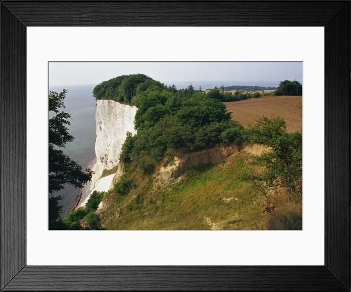Framed Print : Chalk cliffs, Mons Klint, Mon, Denmark, Scandinavia, Europe Framed Print : Chalk cliffs, Mons Klint, Mon, Denmark, Scandinavia, Europe
