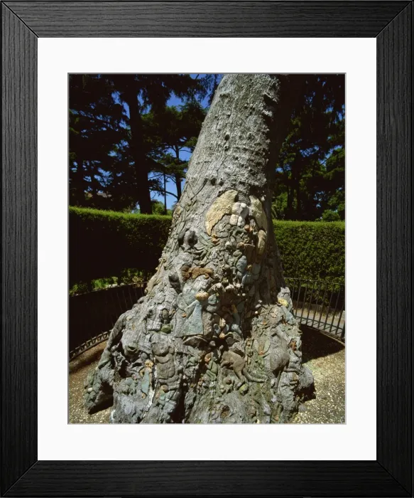 Framed Print : Fairy tree, Fitzroy Gardens, Melbourne, Victoria, Australia, Pacific Framed Print : Fairy tree, Fitzroy Gardens, Melbourne, Victoria, Australia, Pacific