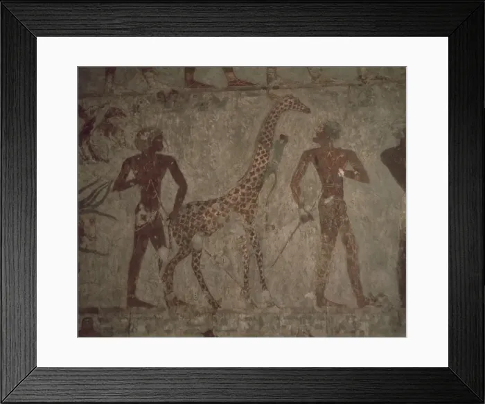 Framed Print : Detail of wall painting in the tomb of Rekhmire, Valley of the Nobles, Thebes Framed Print : Detail of wall painting in the tomb of Rekhmire, Valley of the Nobles, Thebes