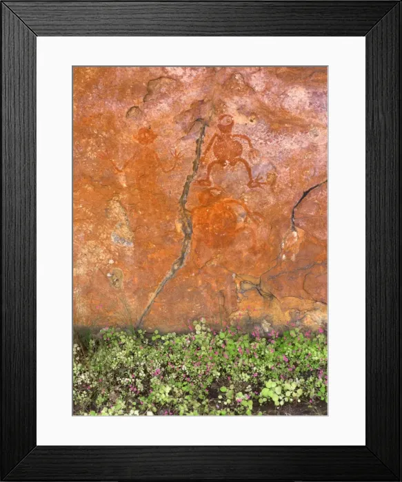 Framed Print : Aboriginal painted figures with flowers below rock after rain, near King Edward River Framed Print : Aboriginal painted figures with flowers below rock after rain, near King Edward River