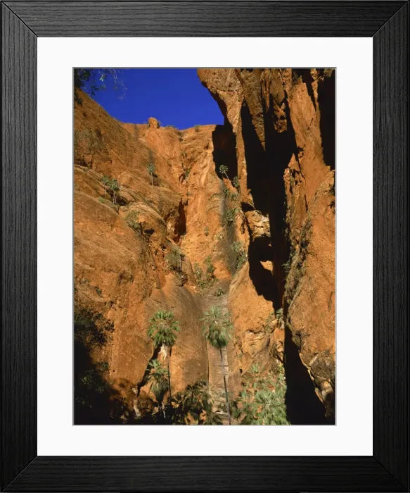 Framed Print : Palm trees in cliffs of gorge leading to Froghole, Purnululu National Park Framed Print : Palm trees in cliffs of gorge leading to Froghole, Purnululu National Park
