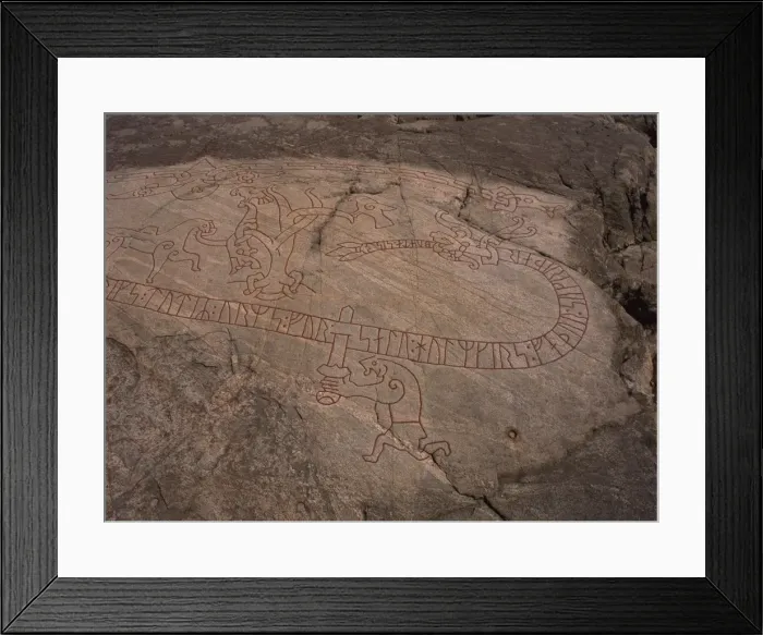 Framed Print : Rune stone dating from 1040 AD referring to Sigurd, Dragon Killer, Sundbyholm Framed Print : Rune stone dating from 1040 AD referring to Sigurd, Dragon Killer, Sundbyholm