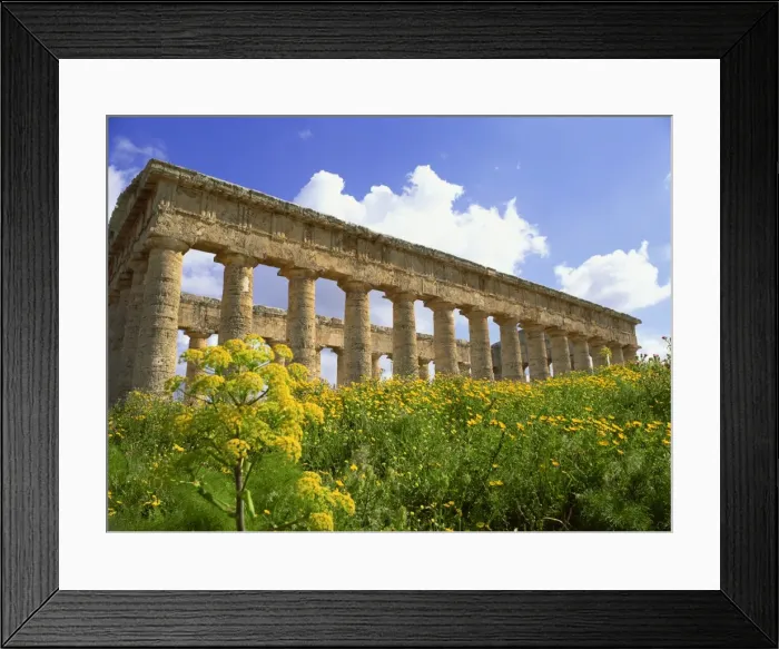 Framed Print : Temple of Segesta, dating from between 420 and 430 BC, near Catalfimi, Alcamo Framed Print : Temple of Segesta, dating from between 420 and 430 BC, near Catalfimi, Alcamo