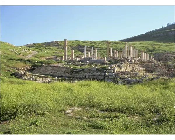 Columns of Byzantine Civic Centre Church dating from around 400 AD, built over earlier Roman civic centre, Pella, Jordan Valley, Jordan