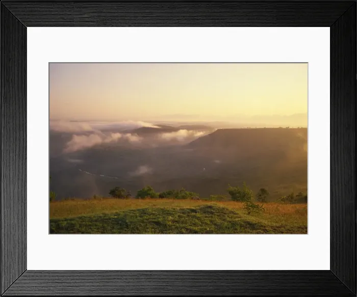 Framed Print : View of Mwaluganje Elephant Sanctuary, Shimbas, Kenya, East Africa, Africa Framed Print : View of Mwaluganje Elephant Sanctuary, Shimbas, Kenya, East Africa, Africa